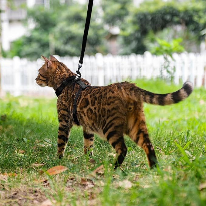 Cat Harness and Leash Set Escape Proof for Walking, Adjustable Cute Kitten Harness Leash with Airtag Holder for Small Large Cats, Lightweight Soft Walking Travel Harness (Black)