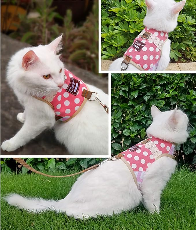 Cat Harness and Leash for Walking Escape Proof, Adjustable Cat Vest Harness, Padded Stylish Cat Walking Jackets, Polka Dot Pink, Small