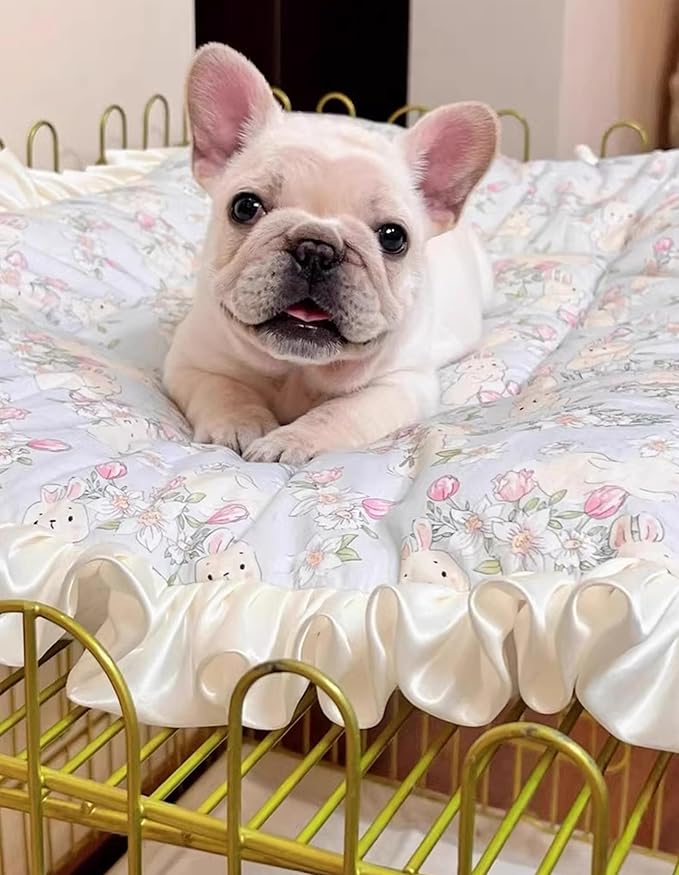 Cat Bed Mat, Double-Sided Usable Cat Cage Mat for Four Seasons Universal, Flannel Side Rustic Pet Bed Mat, Cozy and Soft Crate Mat for Sleeping Improve (Light Blue Bunny, 22.5'' x 16.9'')