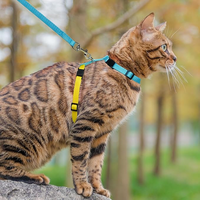 PUPTECK Adjustable Cat Harness and Leash Set Escape Proof Kitten Strap Collar for Walking Travel, Blue Yellow