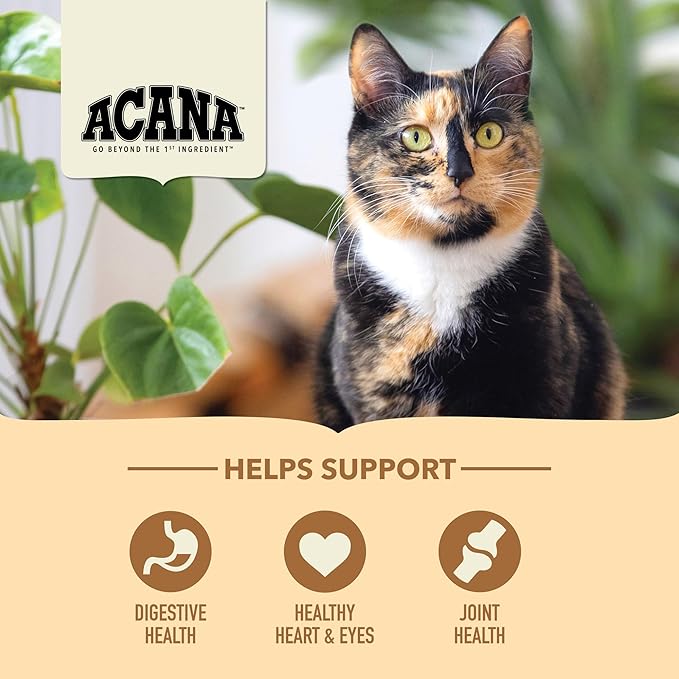 ACANA Senior Entree Dry Cat Food for Senior Cats (7+ Years), Free Run Chicken and Turkey Recipe, 4lb