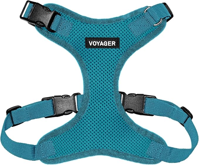 Voyager Step-in Lock Pet Harness - All Weather Mesh, Adjustable Step in Harness for Cats and Dogs by Best Pet Supplies - Turquoise, M