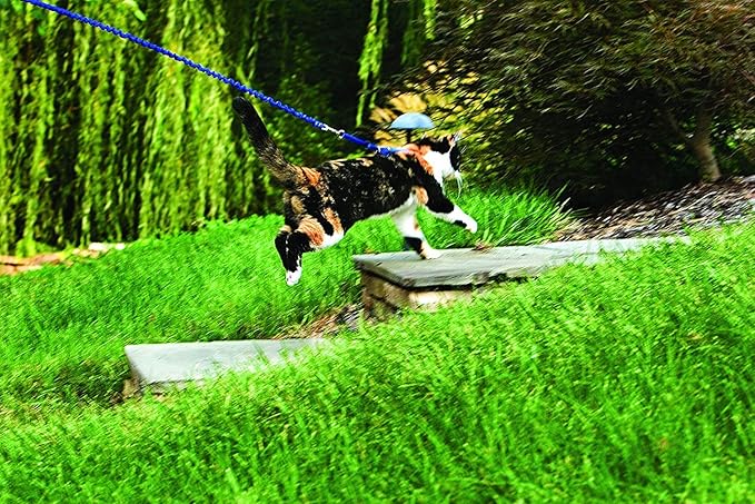 PetSafe Come with Me Kitty Harness and Bungee Leash, Large, Lilac