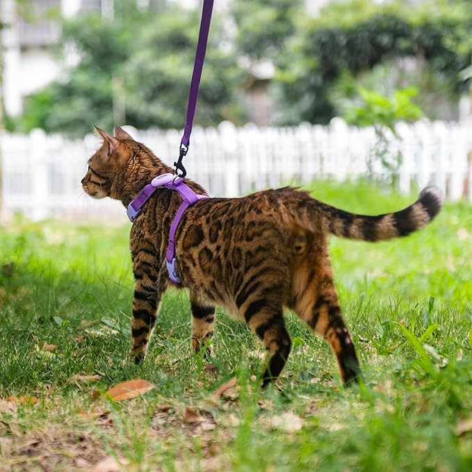 Cat Harness and Leash Set Escape Proof for Walking, Adjustable Cute Kitten Harness Leash with Airtag Holder for Small Large Cats, Lightweight Soft Walking Travel Harness (Purple)