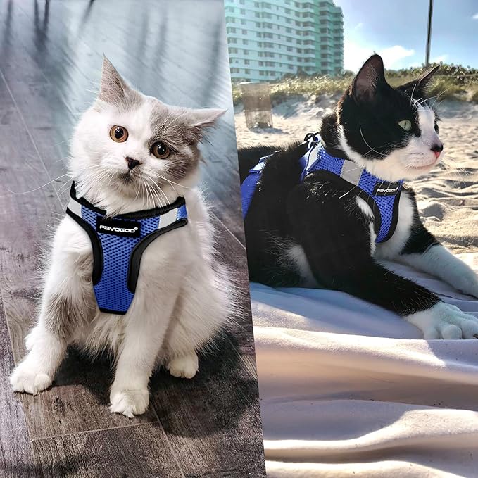 FAYOGOO Cat Harness, Cat Leash and Harness Set for Walking Escape Proof, Harness for Small Cats/Small Dogs, Large Kitten/Puppy Harness and Leash, Harness for Cats S-XXL(Royal Blue, Large)