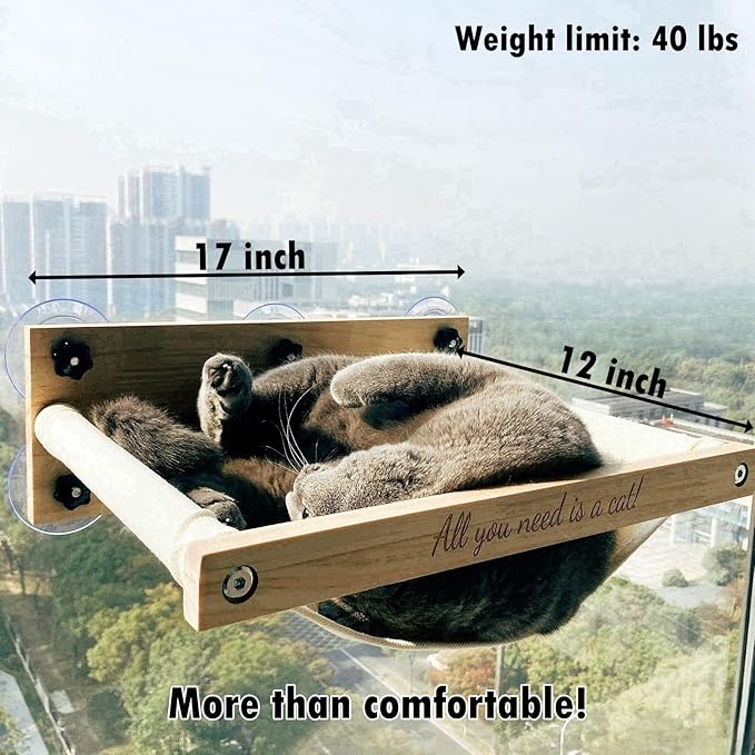 Cat Window Perch, Natural Wood Material, 5 Big Size Suction Cups-40 lbs Weight Limit, 17'' Wide Cat Hammocks for Window, Easy to Install