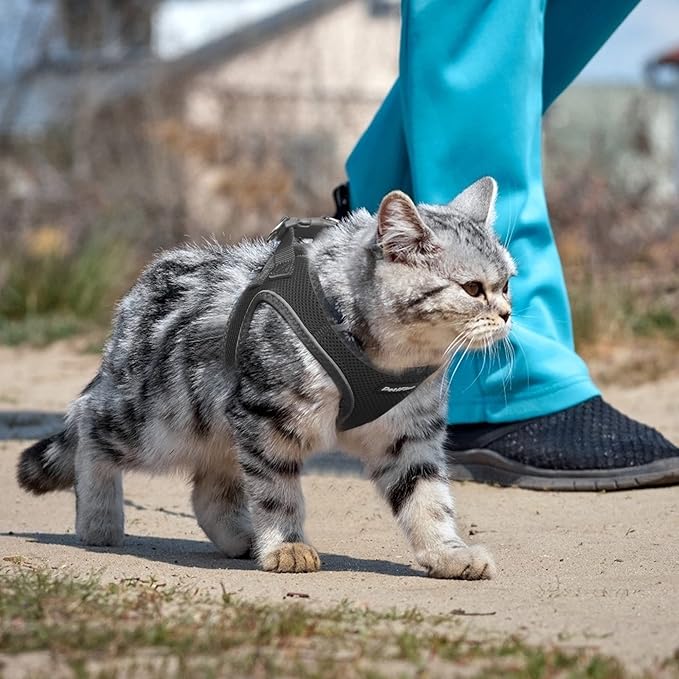 PetiFine Extra Small Step in Dog Harness and Leash Set, Cat Harness and Leash Escape Proof, All Weather Mesh Reflective, Step-in Air Vest Harnesses for Puppy(XXXS, Black)