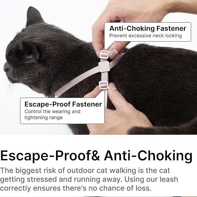 Cat Harness and Leash Set - U.S. IDA Bronze Awarding Design, Escape Proof and Anti-Chocking, for Walking and Training, Lighweight for Kitten and Small Large Cat and Puppy(Armor Blue)