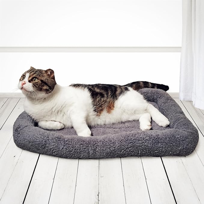 Enjoying Plush Cat Bed Mat, 16" x 22", Self Warming Cat Bed with Pillow Around, Dog Kitty Relying/Curling Sleep Cushion, Warm Bed for Small to Medium Dogs Cats Rabbits, Antiskid Bottom, Medium