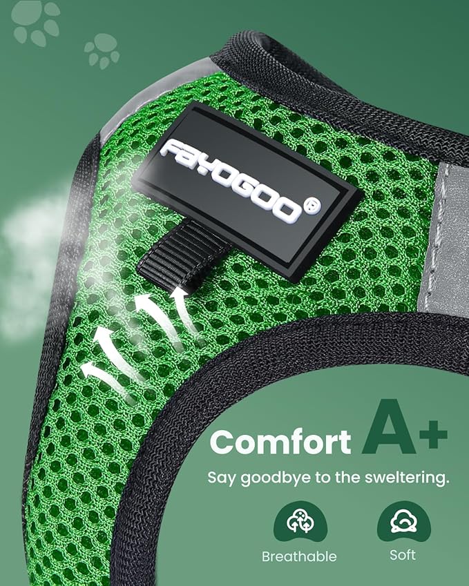 FAYOGOO Cat Harness, Cat Leash and Harness Set for Walking Escape Proof, Harness for Small Cats/Small Dogs, Large Kitten/Puppy Harness and Leash, Harness for Cats S-XXL(Neon Green, Medium)