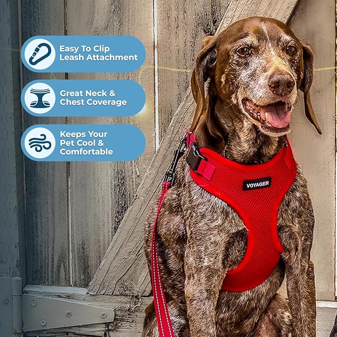Voyager Step-in Lock Pet Harness - All Weather Mesh, Adjustable Step in Harness for Cats and Dogs by Best Pet Supplies - Red, XS