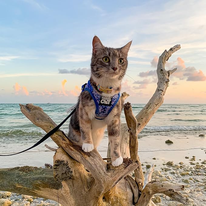 Travel Cat Harness and Leash Set - Adjustable Fit Mesh Cat Harness and Reflective Strap - Comfort Escape Proof Harness for Cats, Kitten for Outdoor Walking, Hiking (Medium, Groovy)