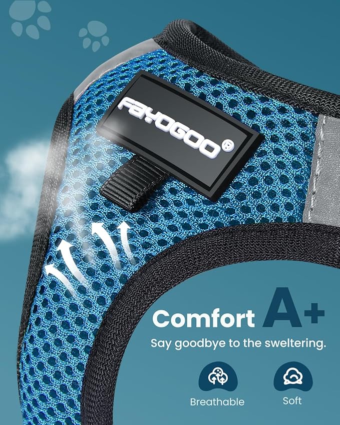 FAYOGOO Cat Harness, Cat Leash and Harness Set for Walking Escape Proof, Harness for Small Cats/Small Dogs, Large Kitten/Puppy Harness and Leash, Harness for Cats S-XXL(Tranquil Teal, Large)