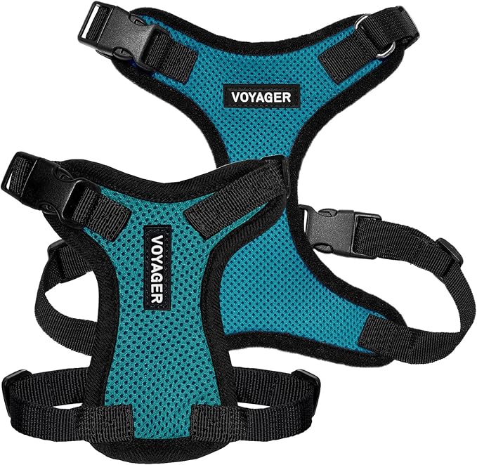 Voyager Step-in Lock Pet Harness - All Weather Mesh, Adjustable Step in Harness for Cats and Dogs by Best Pet Supplies - Turquoise/Black Trim, XS