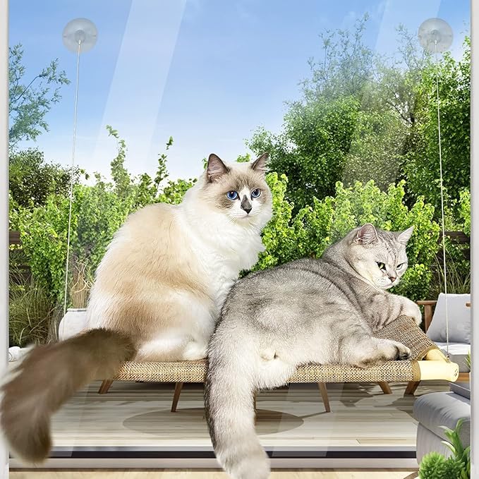Cat Bed, Cat Window Perch Window Seat Suction Cups Space Saving Cat Hammock Pet Resting Seat Safety Cat Shelves - Providing All Around 360° Sunbath for Cats Weightedup to 50lb