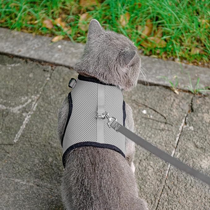 PUPTECK Soft Mesh Cat Vest Harness and Leash Set Puppy Padded Pet Harnesses Escape Proof for Cats Small Dogs Rabbits Bunny, Grey S