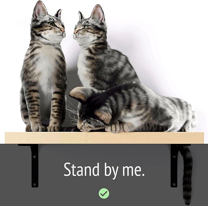 Cat Shelf Wall Furniture - 45-lb-tested-capacity Cat Shelf on Premium Heavy-duty Steel Brackets for Large Cats - 16.75 x 10 x 1 in Wood Cat Tree 2-stud-mounted Easy-drilling for Drywall 1 pc.