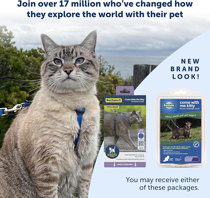 PetSafe Come with Me Kitty Harness and Bungee Leash, Medium, Black