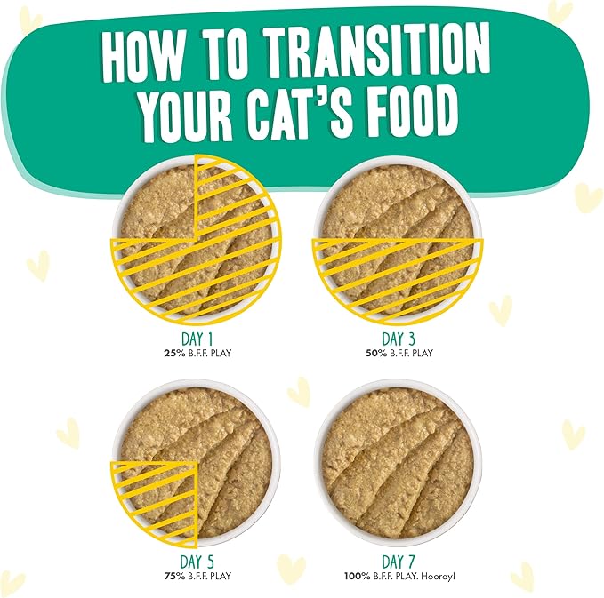 B.F.F. PLAY - Best Feline Friend Paté Lovers, Aw Yeah!, Chicken & Turkey Tiptoe with Chicken & Turkey, 3oz Pouch (Pack of 12)