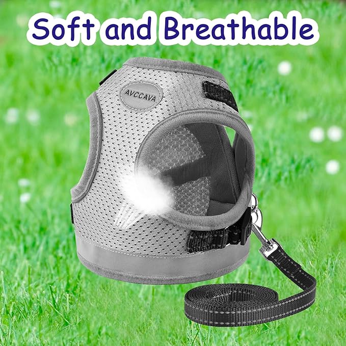 Cat Harness and Leash for Walking, Kitten Escape Proof Harnesses, Adjustable Reflective Puppy Harness with Leashes Set, Easy Adjustable Soft net Breathable Pet Safety Vest M (Chest: 12" - 14") Grey