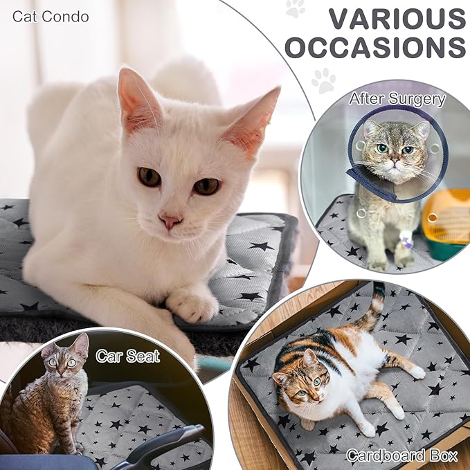 Self Warming Cat Bed Self Heating Dog Mat Star Pattern Warm Thermal Pet Pad Reflects Body Heat Washable Soft Puppy Crate Pad Anti Slip Kennel Mat Blanket for Indoor Pets(18 x 24 Inches)