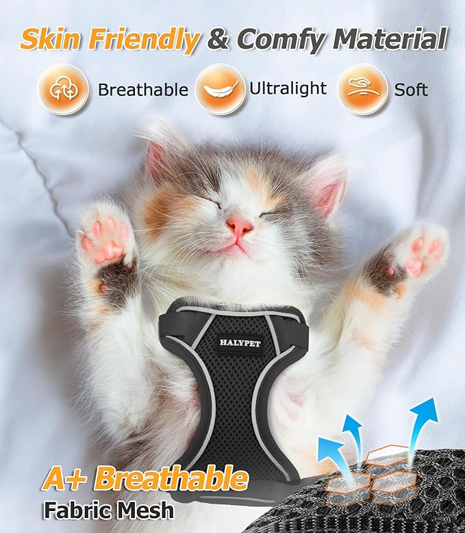 Halypet Cat Harness and Leash Set [MAX Safety 4th-Gen Upgrade] Escape Proof Adjustable Cat Leash Comfortable Soft Vest Easy to Wear Kitten Harness with Reflective Strip for Cats Walking, S Black