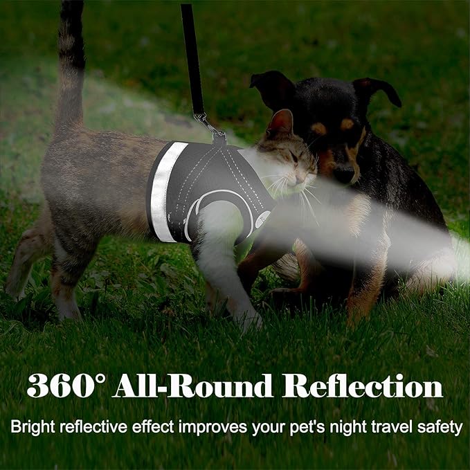 Cat Harness and Leash for Walking, Kitten Escape Proof Harnesses, Adjustable Reflective Puppy Harness with Leashes Set, Easy Adjustable Soft net Breathable Pet Safety Vest XS (Chest: 6" - 8") Black