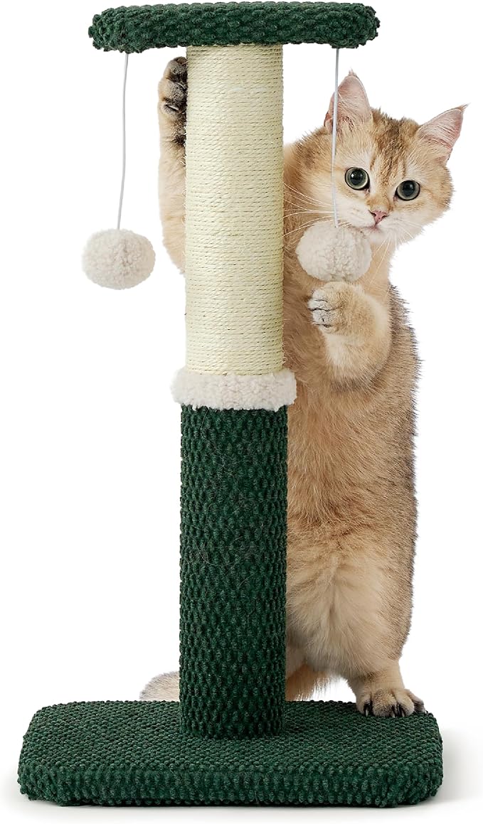 Lesure Cat Scratching Post for Indoor Cats - Highly Resistant Carpet Scratch Posts, Premium Sisal Rope Scratch Posts for Kittens, Sturdy Small Cat Scratch Pole with Hanging Ball, Green(22.5 inch)