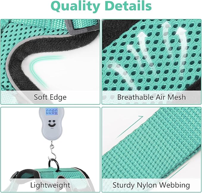 Dooradar Cat Harness and Leash Set, Escape Proof Safe Adjustable Kitten Vest Harnesses for Walking, Easy Control Soft Breathable Mesh Jacket with Reflective Strips for Cats, Green, M