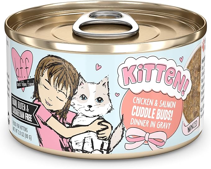 B.F.F. Kitten, Cha Cha Cha, 2.8oz Can (Pack of 12)