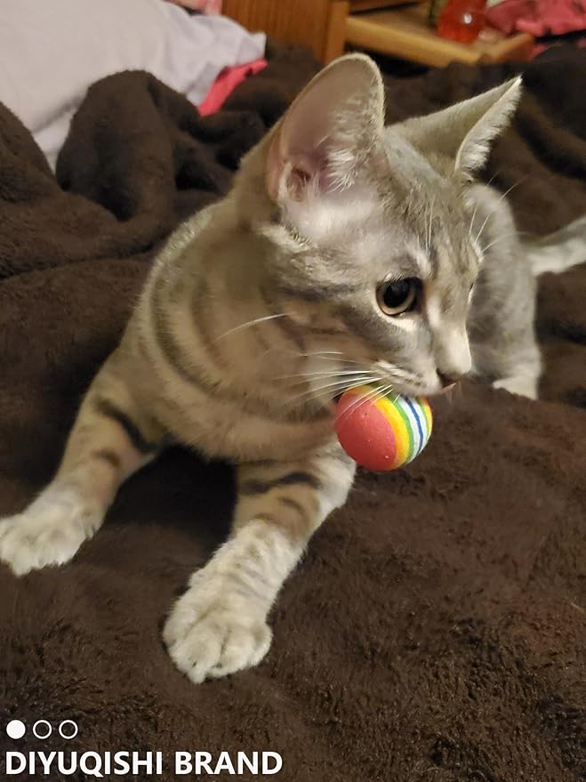 10-Pack Colorful Sturdy Cat Toy Balls with Bells, Interactive & Energetic Play, Easy-Grab Cat Toys for All Breeds and Ages