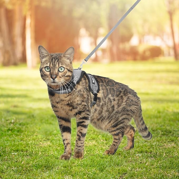 PUPTECK Cat Harness and Leash Set Escape Proof, Reflective Adjustable Soft Mesh Kitten Vest Harness for Walking Travel, Grey, M