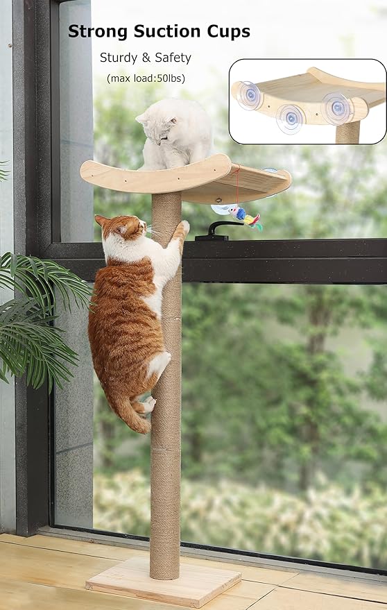 Window Cat Perch with Scratching Posts, 46" Wood Tree Bed for Large Inside Cats Climbing, Perching and Lounging, Mounted with 3 Strong Suction Cups (Wood Platform)