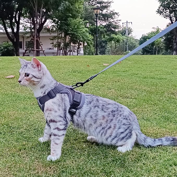 Cat Harness and Leash Set Escape Proof Tactical Small Kitten Harness Emotional Support Cat Vest, Grey, S