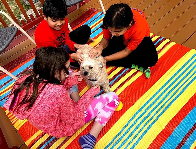 BalajeesUSA Outdoor Rug - 2 PK 5x7 Multi Color Reversible Recycled Plastic Straw Rugs Outdoor Patio Rugs Clearance Waterproof Large RV Camper Mats Outside 188