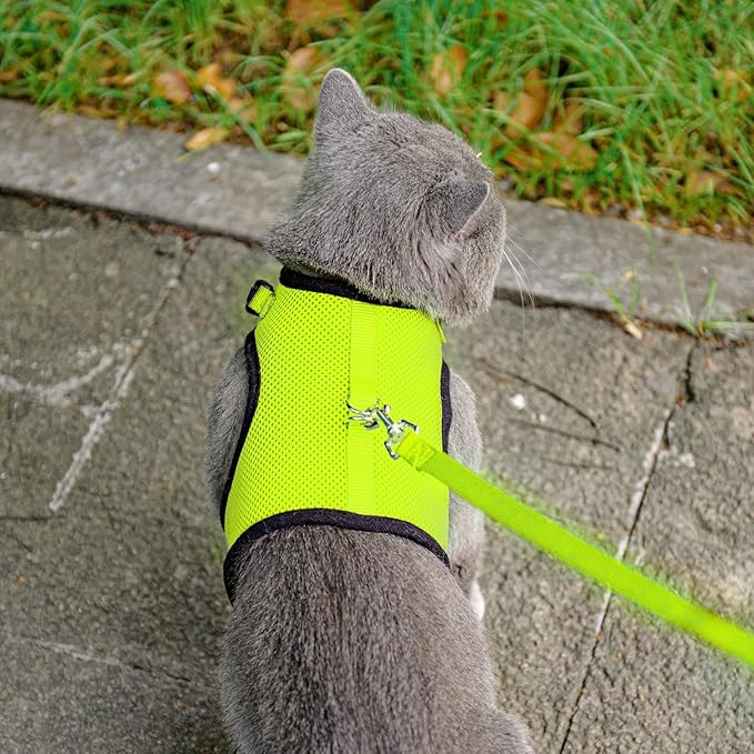 PUPTECK Soft Mesh Cat Vest Harness and Leash Set Puppy Padded Pet Harnesses Escape Proof for Cats Small Dogs Rabbits Bunny, Fluorescent Green S