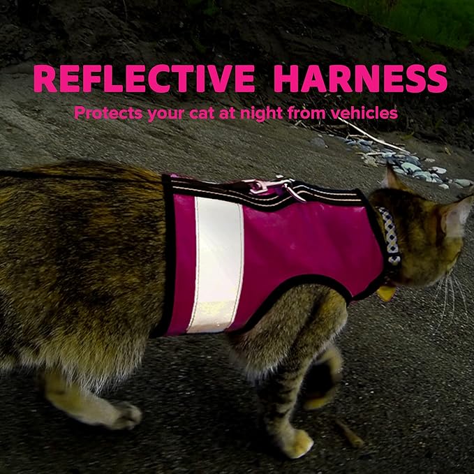 Reflective Cat Harness - High-Visibility Cat Vest for Day & Night | Secure, Breathable and Washable Cotton | Ideal for Walking & Traveling - Flamingo Pink, XL