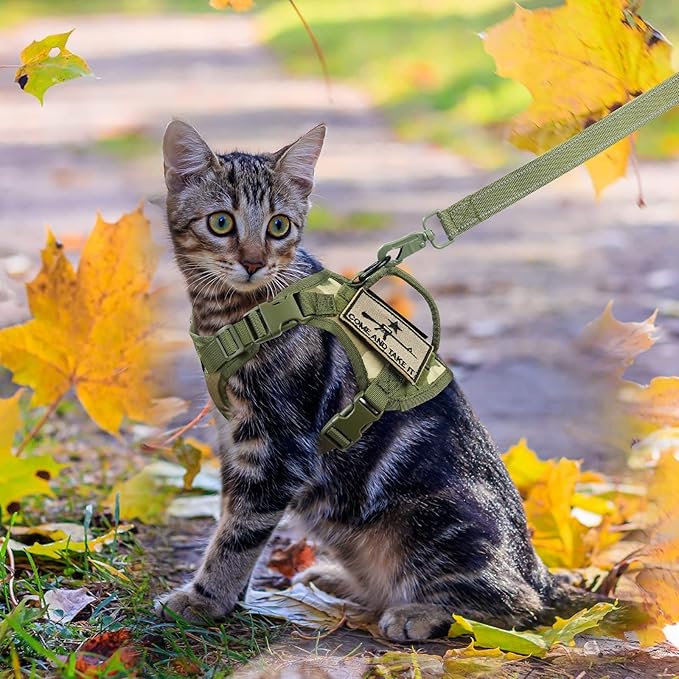 Tactical Cat Harness and Leash, Escape Proof Large Cat Walking Vest,Adjustable Soft Mesh Pet Vest Harness with Control Handle, Molle Patches