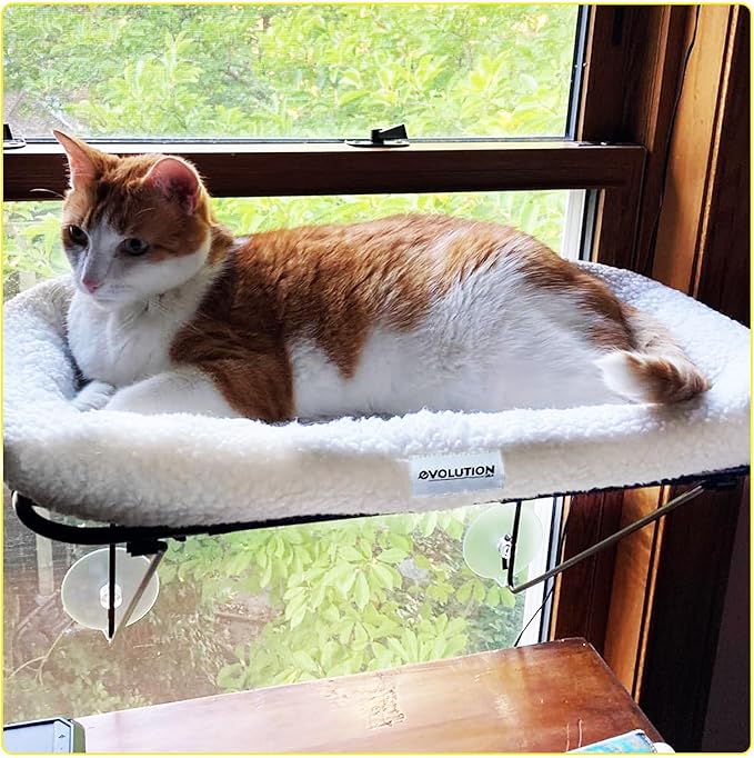 Window Cat Perch for Indoor Cats - Cat Hammock for Window, Heavy Duty Cat Window Perch, Cat Shelf Window Sill Cat Perch, Cat Window Seat for Indoor Cats, Cat Bed for Window Sill Perch, Cat Window Bed