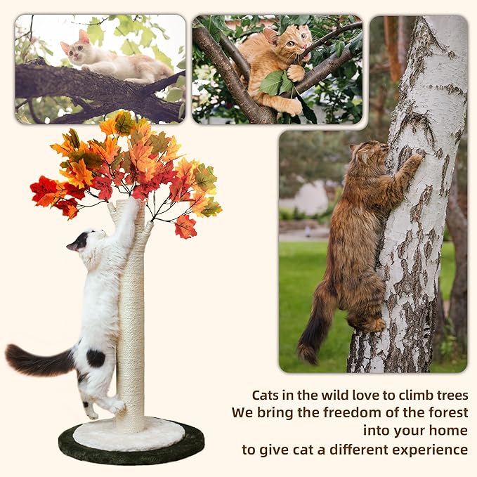 35 inch Cat Scratching Posts for Indoor Cats Tall Cat Scratch Post Wrapped Sisal Rope Large Plam Tree Scratching Post for Kittens and Large Cats