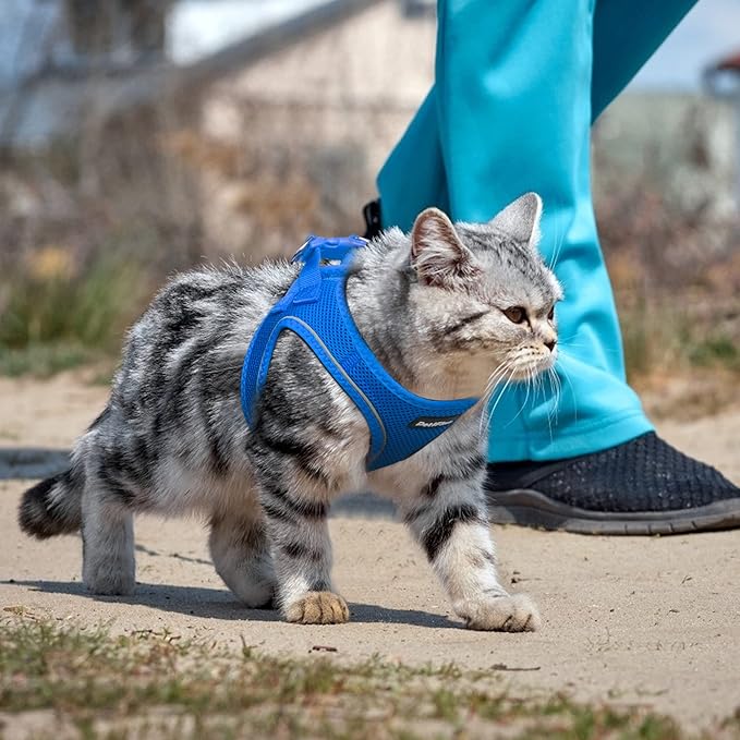 PetiFine Extra Small Step in Dog Harness and Leash Set, Cat Harness and Leash Escape Proof, All Weather Mesh Reflective, Step-in Air Vest Harnesses for Puppy(XXS, baby blue)