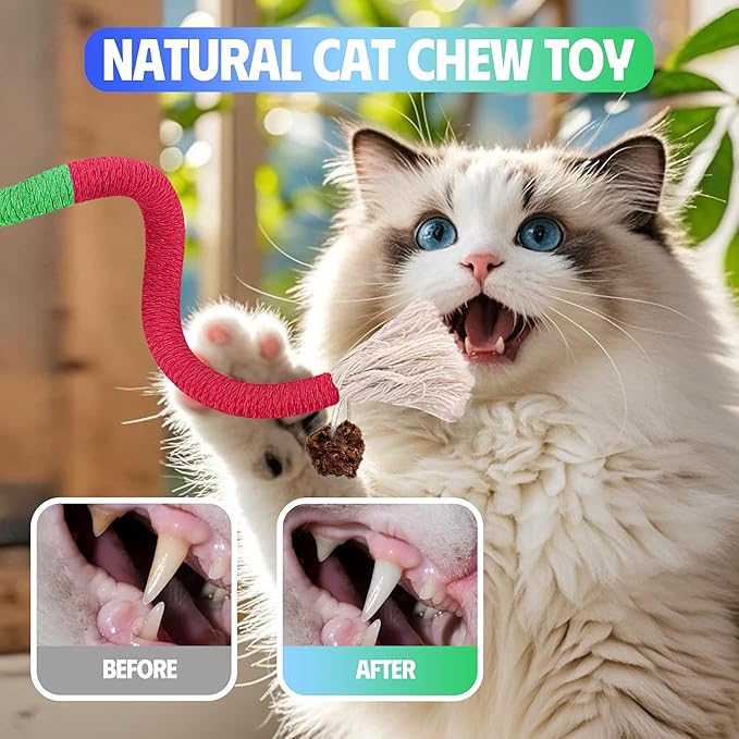 4 Pcs Cat & Kitten Chew Toy, Cat Toys Chew Ropes and Silvervine Cat Chew Sticks with Refillable Natural Catnip Bag for Teeth Cleaning, Safe Interactive Cat Toys for Indoor Cats