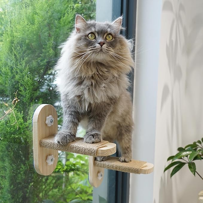 PETKARAY Cat Window Shelf, Original Cat Window Perch Stairs, Durable Cat Seat for Window Sill, Sturdy Window Step for Indoor Cats