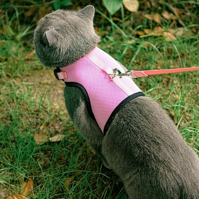 PUPTECK Soft Mesh Cat Vest Harness and Leash Set Puppy Padded Pet Harnesses Escape Proof for Cats Small Dogs, Pink Large