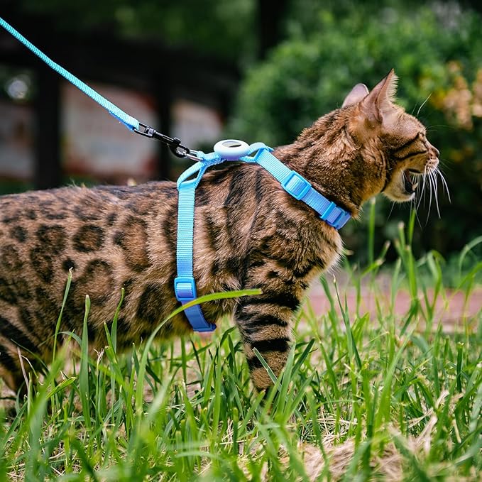 Cat Harness and Leash Set Escape Proof for Walking, Adjustable Cute Kitten Harness Leash with Airtag Holder for Small Large Cats, Lightweight Soft Walking Travel Harness (Blue)