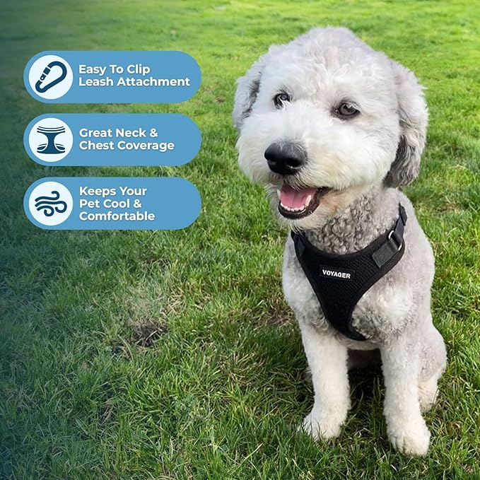 Voyager Step-in Lock Pet Harness - All Weather Mesh, Adjustable Step in Harness for Cats and Dogs by Best Pet Supplies - Black, S