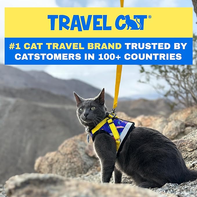 Travel Cat Harness and Leash Set - Adjustable Fit Mesh Cat Harness and Reflective Strap - Comfort Escape Proof Harness for Cats, Kitten for Outdoor Walking, Hiking (Small, 90s Cat)