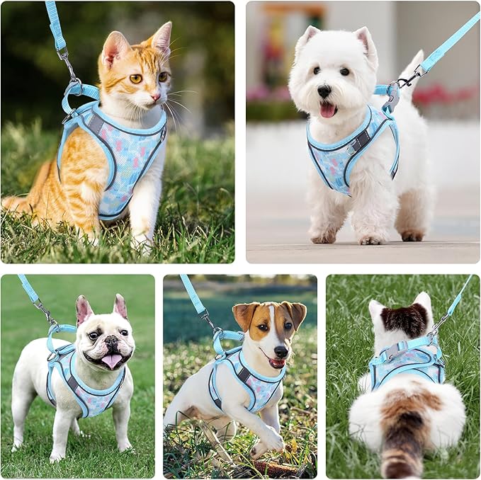 AMIR Cat Harness and Leash for Walking, Escape Proof Breathable Vest Adjustable Harnesses for Cats and Small Dogs, Easy Control Reflective Straps Pet Jacket, Blue, Size S