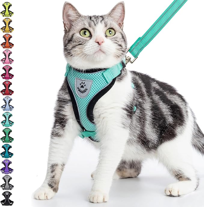 PUPTECK Cat Harness and Leash Set Escape Proof Reflective Cat Walking Harness Adjustable Soft Breathable Mesh Vest for Small Pets, Aquamarine, S