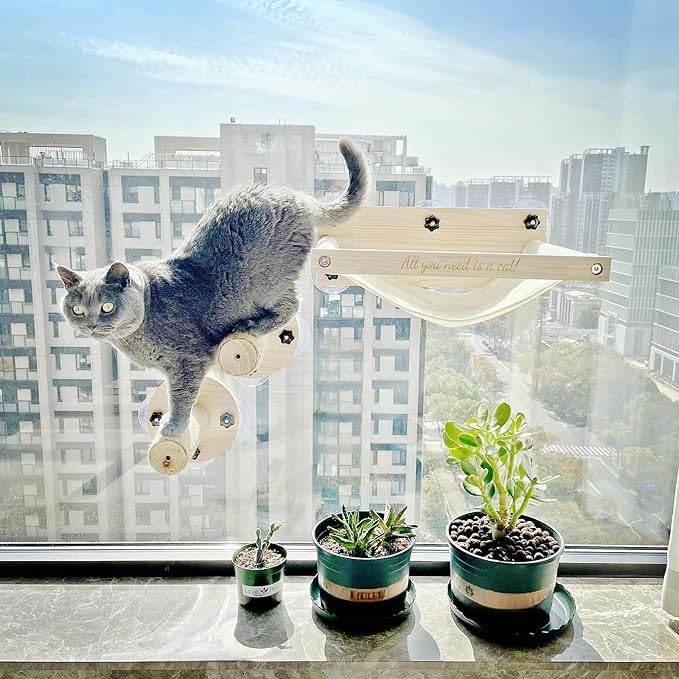 Cat Window Perch with 2 Window Stairs, Natural Wood Materials, 17'' Wide Cat Window Hammocks, Cat Hammock for Window with 5 Strong Suction Cups